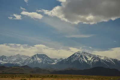 DSC_6601 (Large).JPG